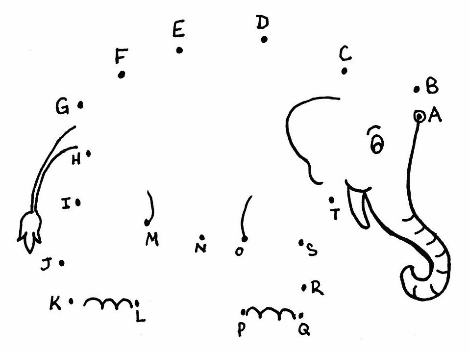 slon.jpg