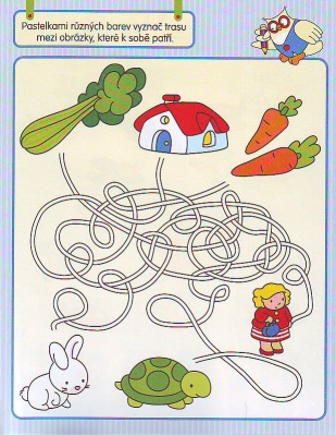 cestička.jpg